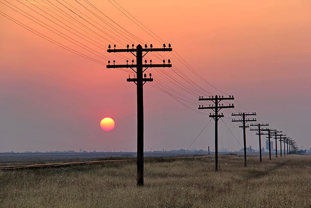 Distribution poles stretching into a sunset over open land