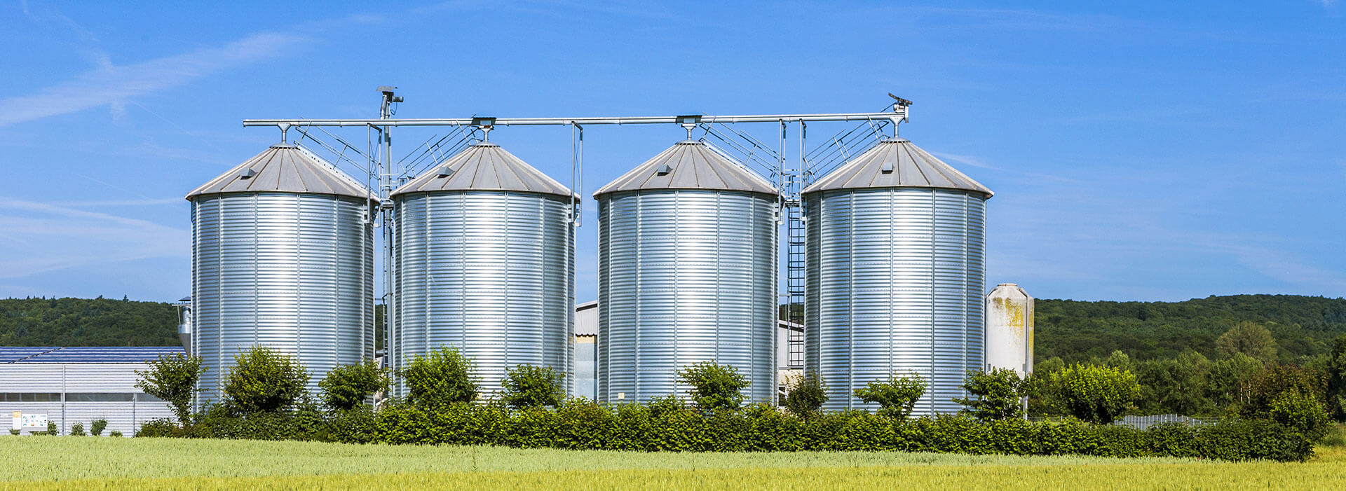 Real Estate & Warehousing — automated grain silos